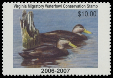 Picture of 2006 Virginia Duck Stamp