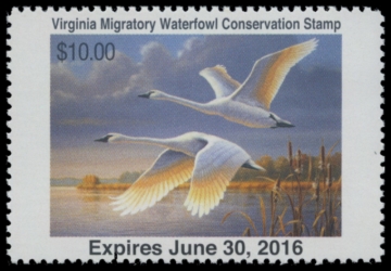 Picture of 2015 Virginia Duck Stamp