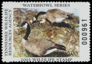 Picture of 2003 Tennessee Duck Stamp