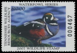 Picture of 2007 Tennessee Duck Stamp
