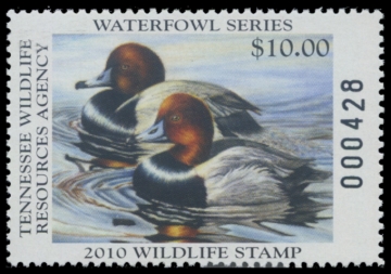 Picture of 2010 Tennessee Duck Stamp