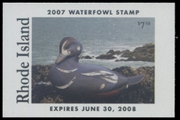 Picture of 2007 Rhode Island Duck Stamp