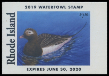 Picture of 2019 Rhode Island Duck Stamp
