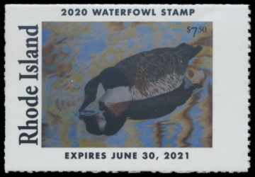 Picture of 2020 Rhode Island Duck Stamp