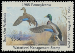 Picture of 1985 Pennsylvania Duck Stamp