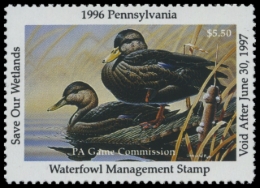 Picture of 1996 Pennsylvania Duck Stamp