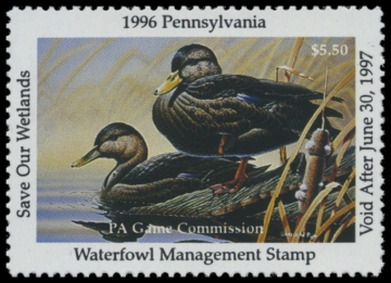 Picture of 1996 Pennsylvania Duck Stamp