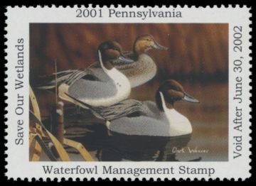 Picture of 2001 Pennsylvania Duck Stamp