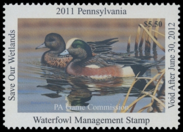 Picture of 2011 Pennsylvania Duck Stamp