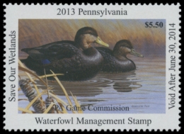 Picture of 2013 Pennsylvania Duck Stamp