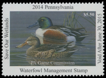 Picture of 2014 Pennsylvania Duck Stamp