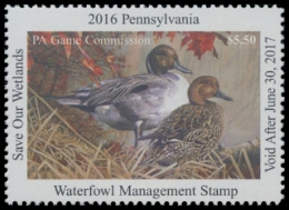 Picture of 2016 Pennsylvania Duck Stamp
