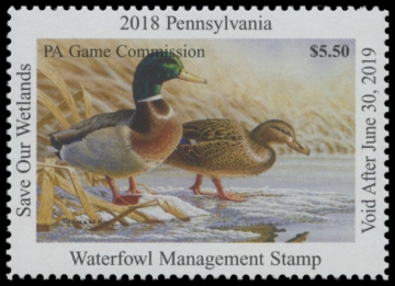 Picture of 2018 Pennsylvania Duck Stamp