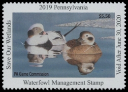 Picture of 2019 Pennsylvania Duck Stamp
