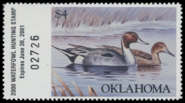 Picture of 2000 Oklahoma Duck Stamp