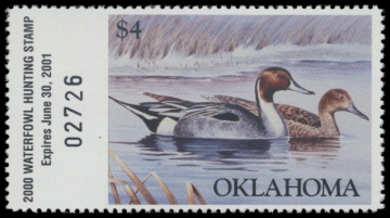 Picture of 2000 Oklahoma Duck Stamp