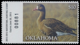 Picture of 2012 Oklahoma Duck Stamp