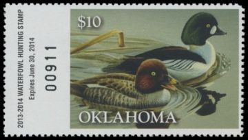 Picture of 2013 Oklahoma Duck Stamp