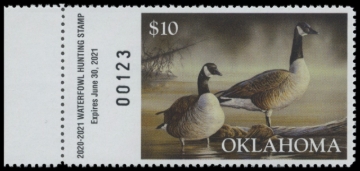 Picture of 2020 Oklahoma Duck Stamp
