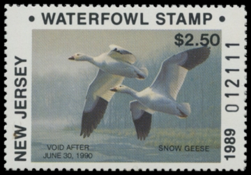 Picture of 1989 New Jersey Duck Stamp