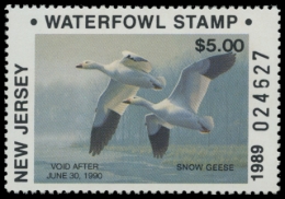 Picture of 1989 New Jersey Duck Stamp