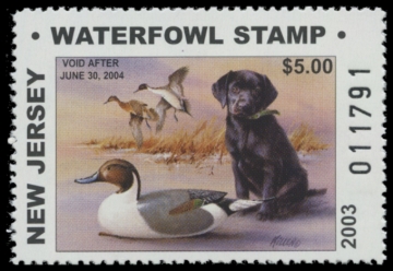 Picture of 2003 New Jersey Duck Stamp