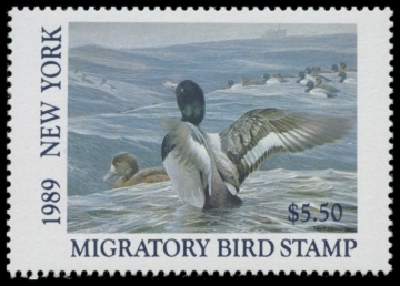 Picture of 1989 New York Duck Stamp