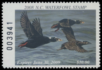 Picture of 2008 North Carolina Duck Stamp