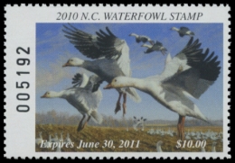 Picture of 2010 North Carolina Duck Stamp