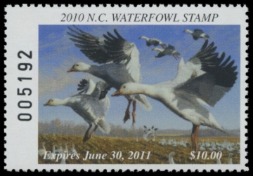 Picture of 2010 North Carolina Duck Stamp