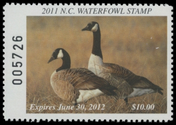 Picture of 2011 North Carolina Duck Stamp