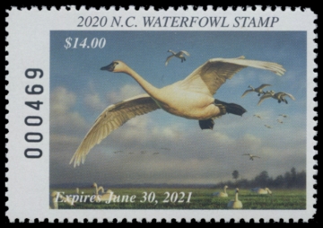 Picture of 2020 North Carolina Duck Stamp