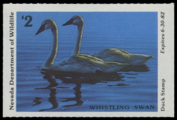 Picture of 1981 Nevada Duck Stamp