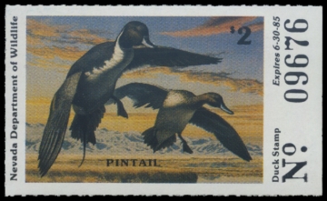 Picture of 1984 Nevada Duck Stamp
