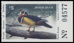 Picture of 1995 Nevada Duck Stamp