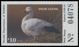 Picture of 2013 Nevada Duck Stamp