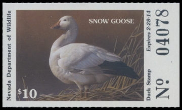 Picture of 2013 Nevada Duck Stamp
