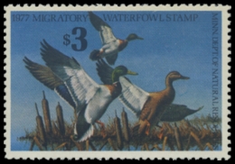 Picture of 1977 Minnesota Duck Stamp - First of State