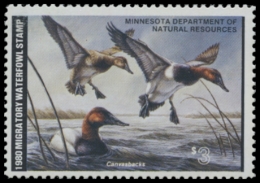 Picture of 1980 Minnesota Duck Stamp