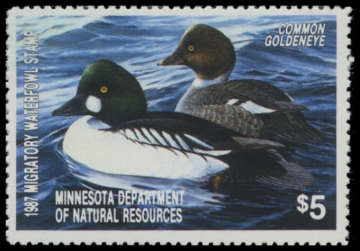 Picture of 1987 Minnesota Duck Stamp
