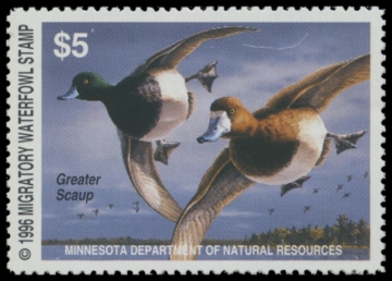 Picture of 1996 Minnesota Duck Stamp