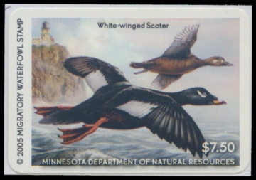 Picture of 2005 Minnesota Duck Stamp