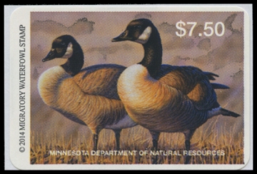 Picture of 2014 Minnesota Duck Stamp