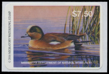 Picture of 2016 Minnesota Duck Stamp