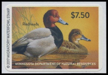 Picture of 2017 Minnesota Duck Stamp