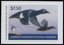 Picture of 2018 Minnesota Duck Stamp