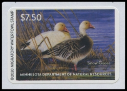 Picture of 2020 Minnesota Duck Stamp