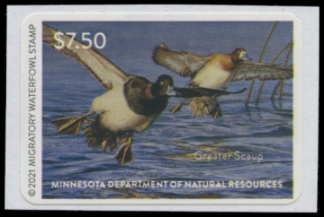 Picture of 2021 Minnesota Duck Stamp