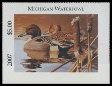 Picture of 2007 Michigan Duck Stamp