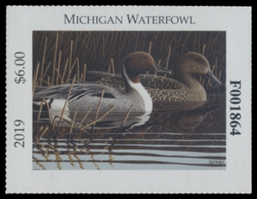 Picture of 2019 Michigan Duck Stamp